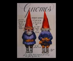 Knjiga Gnomes: Wil Huygen