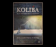 Knjiga Koliba: William Paul Young