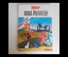 Strip Asterix: Spopad poglavarjev